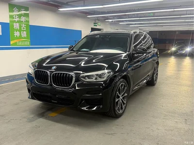 2022 BMW X3 xDrive25i M Sport Package, фото 3, лот 10460835