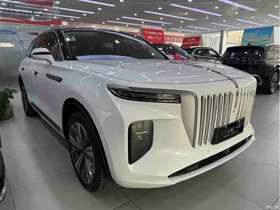 2021 Hongqi E-HS9 460km Flagship Comfort 6-seater, фото 3, лот 10288102