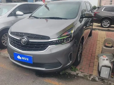 2021 Buick GL8 Land Business Class 652T Smart Luxury, фото 1, лот 10251366
