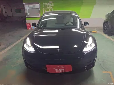 2022 Tesla Model 3 Model Rear-Wheel Drive Version, фото 3, лот 10390366