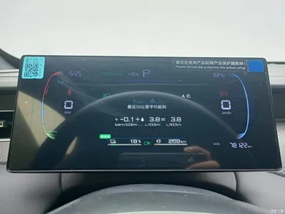2025 BYD Qin PLUS DM-i Smart Drive 55KM Leader, фото 4, лот 11580519