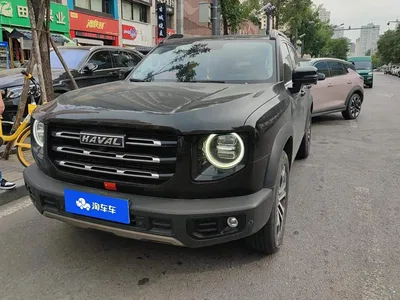 2022 Haval Big Dog 1.5T DCT FWD Border Collie Edition, фото 1, лот 10845871