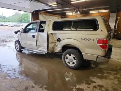 2009 FORD F-150, фото 2, лот 10982132