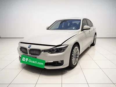 2018 BMW 3 Series 320Li Fashion Style, фото 2, лот 10457966