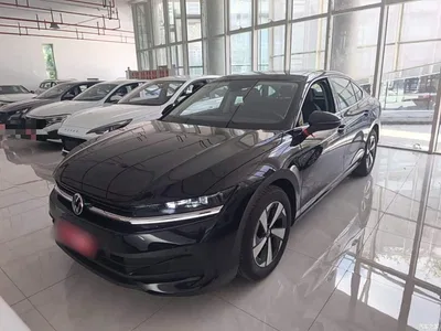 2024 Volkswagen Magotan 300TSI DSG Premium Edition, фото 1, лот 10437983