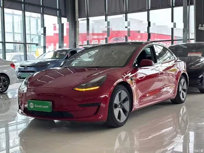 2021 Tesla Model 3 Standard Range Rear-Wheel Drive Upgrade 3D6, фото 2, лот 10376524