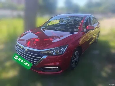 2019 BAIC Senova D50 1.5T CVT Luxury Edition China VI, фото 2, лот 11163855