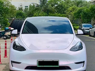 2021 Tesla Model Y Standard Range Rear-Wheel Drive, фото 2, лот 10765144