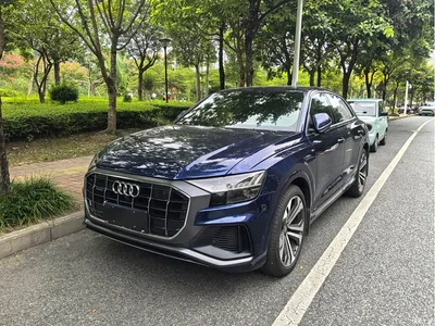 2019 Audi Q8 55 TFSI Supreme Limited Edition, фото 1, лот 10382430