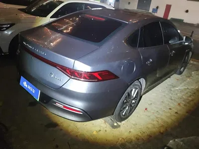 2021 BYD Qin PLUS DM-i 55KM Flagship, фото 3, лот 10956765