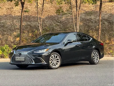 2023 Lexus ES 200 Excellence Edition, фото 1, лот 10316554