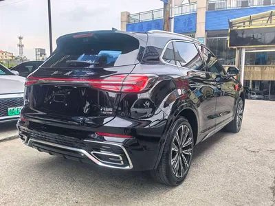 2023 Hongqi HS5 2.0T AWD Flag Enjoy Pro Edition, фото 4, лот 10954982