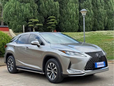 2020 Lexus RX Facelift 300 2WD Elite Edition, фото 3, лот 10313746