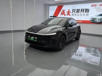 2025 Tesla Model Y Rear-Wheel Drive, фото 1, лот 10837117
