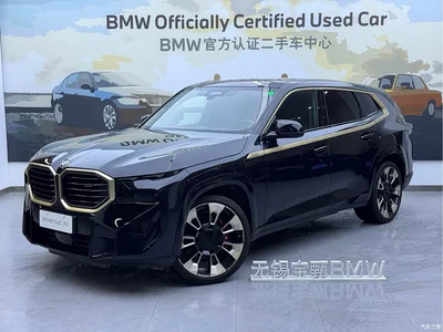 2023 BMW XM Model Base, фото 1, лот 10420506