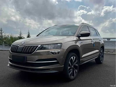2022 Škoda Karoq TSI280 Luxury Edition, фото 1, лот 10349008