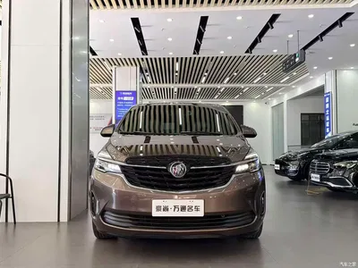 2021 Buick GL8 Land Business Class 652T Luxury, фото 2, лот 10250209