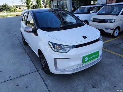 2021 Sehol Flower Fairy 302km Fashion Edition 30.2kWh, фото 4, лот 11565480