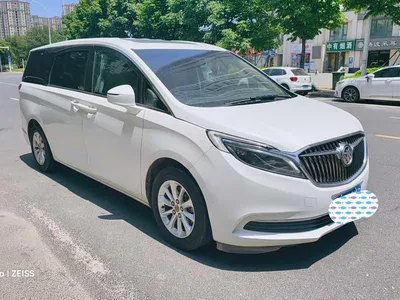 2017 Buick GL8 ES 28T Premium China V, фото 1, лот 10246141