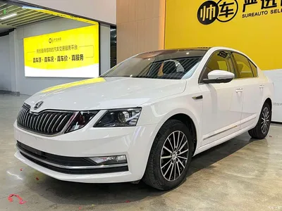 2019 Škoda Octavia 1.5L Automatic Smart Luxury China VI, фото 1, лот 10348918