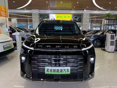 2025 SAIC Maxus Maxus G50 PHEV Pilot Edition, фото 2, лот 11162351
