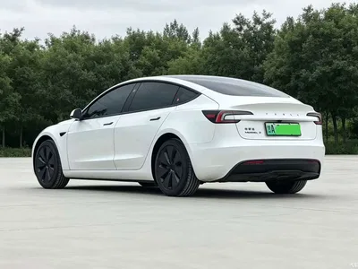 2025 Tesla Model 3 Model Rear-Wheel Drive Edition, фото 4, лот 10353462