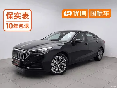 2022 Hongqi H5 Classic Facelift 1.5T DCT Flag Rhythm Edition, фото 1, лот 11219913