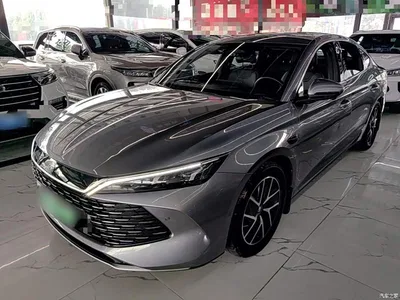 2025 BYD Qin L DM-i Smart Drive 80KM Premium, фото 2, лот 10260235