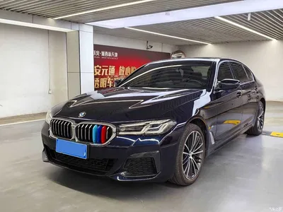 2021 BMW 5 Series Facelift 530Li Leading M Sport Package, фото 1, лот 11140809