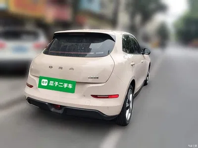 2023 Ora Good Cat 401km Standard Range Luxury LFP, фото 4, лот 11193355