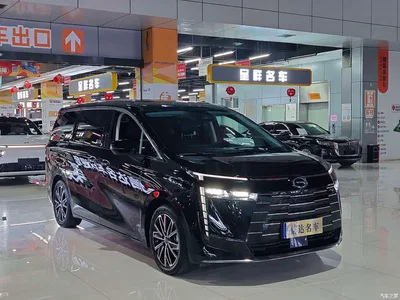 2024 GAC Trumpchi Trumpchi E8 Glory Series 2.0L Glory Edition, фото 3, лот 10398381