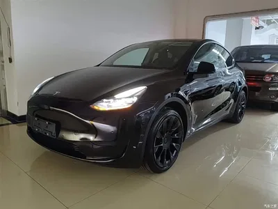 2022 Tesla Model Y Rear-Wheel Drive Version, фото 2, лот 10380965