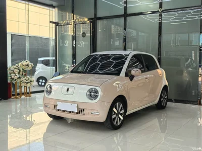 2021 Ora Black Cat 405km Long Range Model, фото 1, лот 11492627