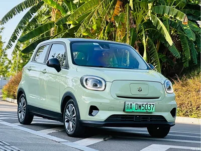 2022 Leapmotor T03 Crystal Shine Edition, фото 2, лот 10316993