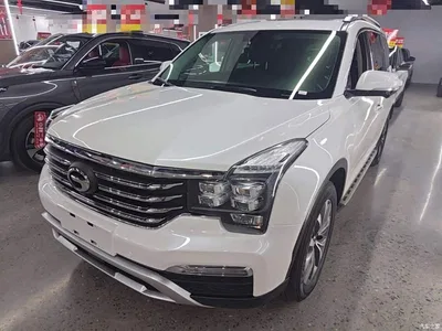 2017 GAC Trumpchi Trumpchi GS8 320T 2WD Luxury Smart Connect (7-seater), фото 2, лот 10599538
