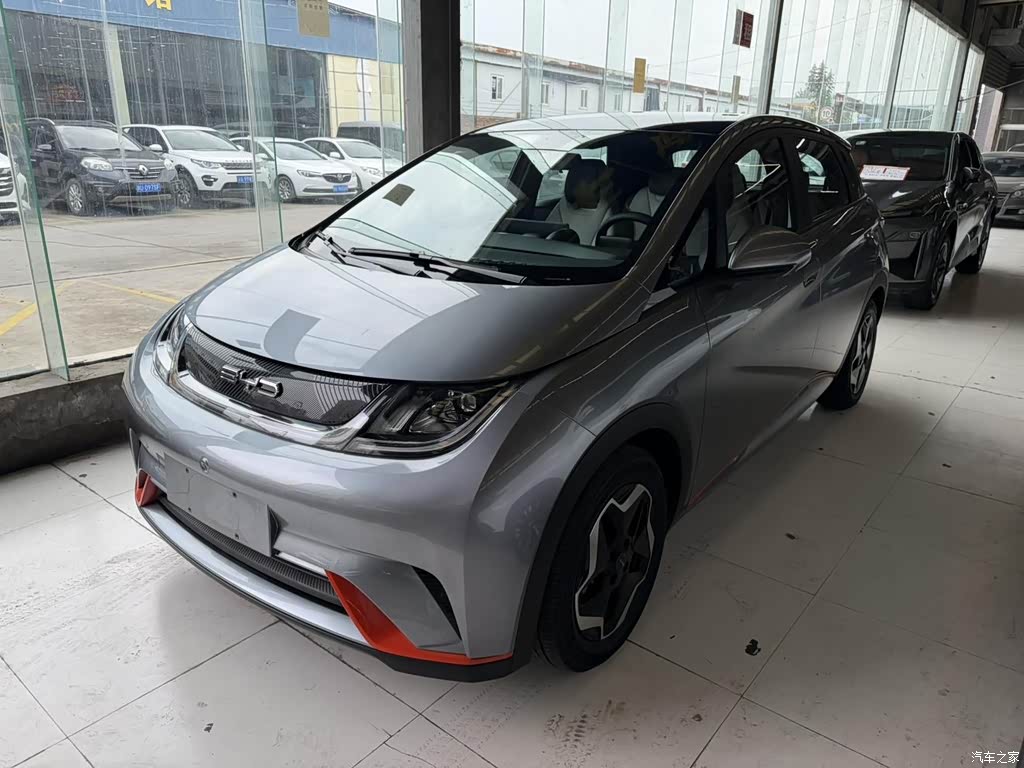 2021 BYD Dolphin Model 405km Fashion Edition, фото 1, лот 11216635