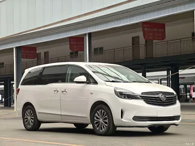 2021 Buick GL8 Land Business Class 652T Luxury, фото 3, лот 10256541
