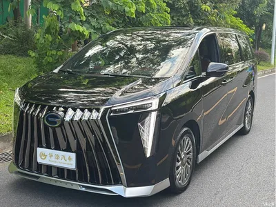 2023 GAC Trumpchi Trumpchi M8 Model Master Series Hybrid Royal Edition, фото 1, лот 10419581