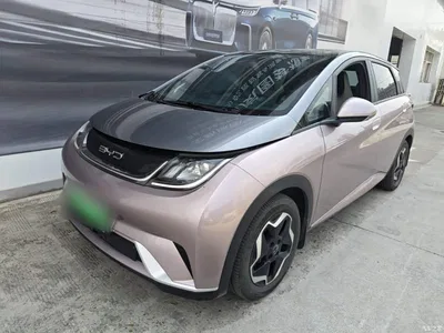 2021 BYD Dolphin Model 405km Fashion Edition, фото 2, лот 10264166
