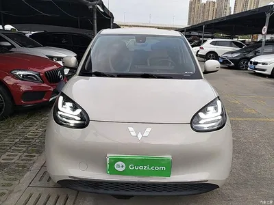 2023 Wuling Motors Wuling Bingo 333km Joyful Version, фото 3, лот 10350217