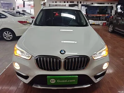 2018 BMW X1 xDrive20Li Premium Model, фото 3, лот 11181563