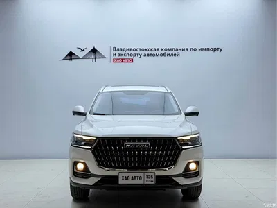 2023 Haval H6 National Trend Edition 1.5T Automatic Urban, фото 2, лот 10298775