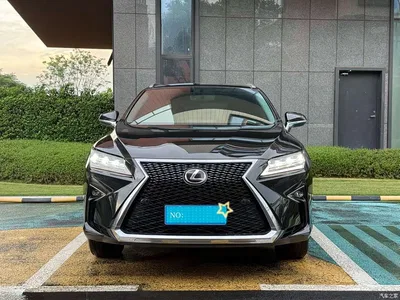2016 Lexus RX 300 4WD Elegance Edition (China V), фото 2, лот 10317038