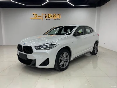 2023 BMW X2 sDrive25i M Sport Shadow Edition, фото 1, лот 10475440
