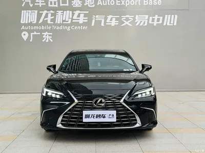 2025 Lexus ES 300h Ultimate Edition, фото 2, лот 10311886