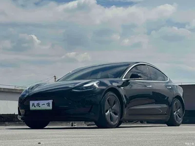 2020 Tesla Model 3 Facelift Standard Range RWD Upgrade, фото 1, лот 10350878