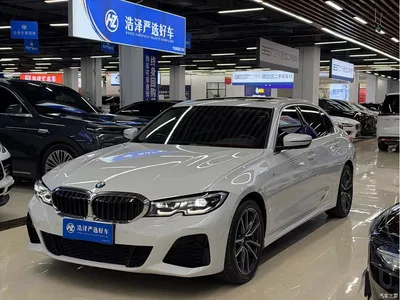 2020 BMW 3 Series 320Li M Sport Package, фото 1, лот 11530586