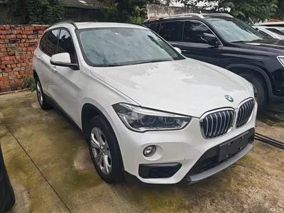 2016 BMW X1 sDrive18Li Premium Model, фото 4, лот 11211353