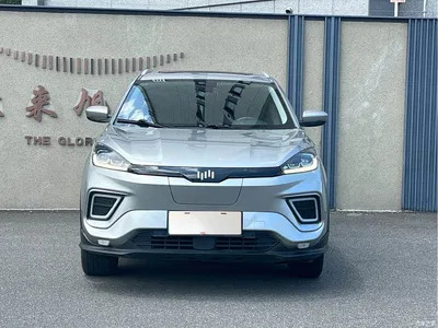 2021 Weltmeister EX5 EX5-Z Fun Dynamic Edition, фото 2, лот 10260315