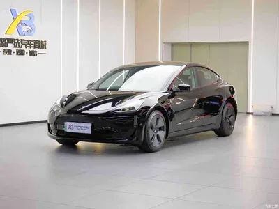 2021 Tesla Model 3 Standard Range Rear-Wheel Drive Upgrade 3D6, фото 1, лот 10351760